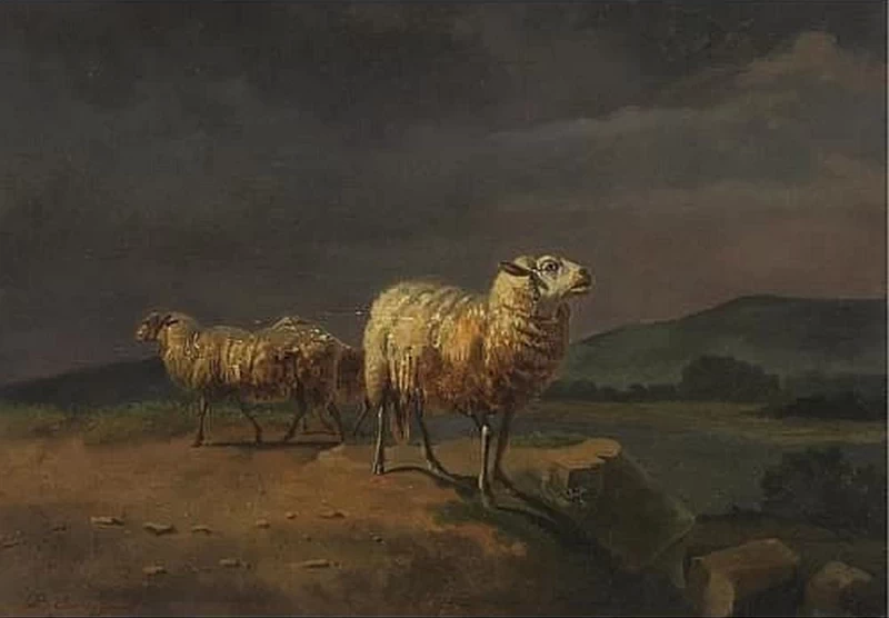 Balthasar Ommeganck - Pecore in un paesaggio